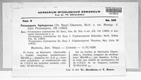 Image Associated With the Occurence